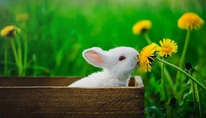 华体会官方网站：让信赖成为最闪亮的入口